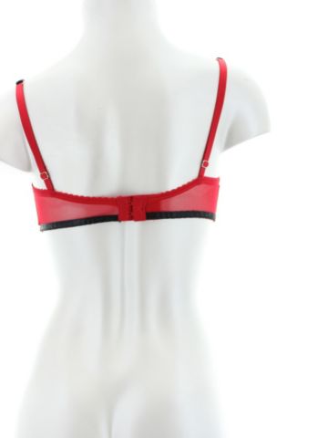 Red Hot Satin Bra