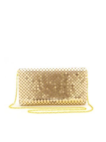 Metal Mesh Clutch